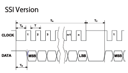 SSI Version